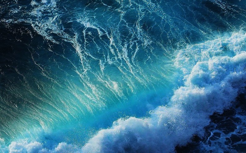 wallpaper